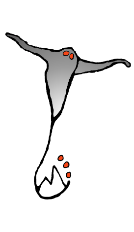 spook sticker zwart wit rood ogen myrdin