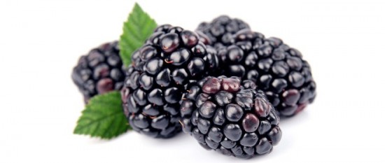 123136.660x280-e1410071710619